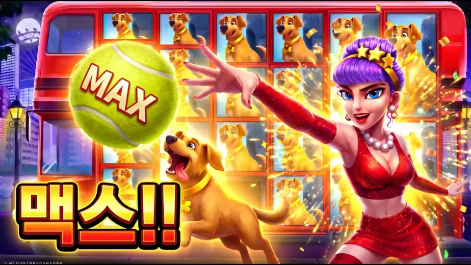 와일드 셀러브리티 버스 10,000배 맥스윈